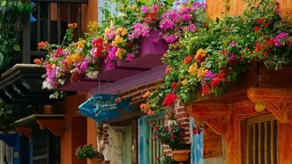 Monsoon-Friendly Flowering Plants Are Keeping Indian Balconies Colourful As The Rainy Season Winds Down