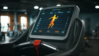 6 Exercises for Calorie Incineration