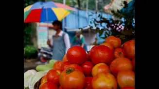 Monsoon Diet Tips: Foods to Avoid for Better Health