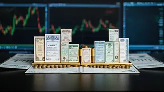 Decoding Multi-Cap vs Flexi-Cap Funds: Your Guide