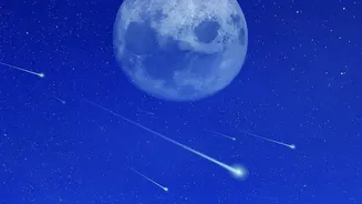 Where Indian Astronomy Enthusiasts Can View Peak Shooting Stars In Dark Mountain Skies