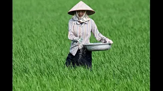 How An Asian Country Is Facing A Growing Food Crisis Amid The Iran War, Should India Worry?