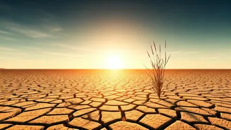 Delhi Swelters: Intense Heatwave Grips NCR, Temperatures Soar Above 40°C