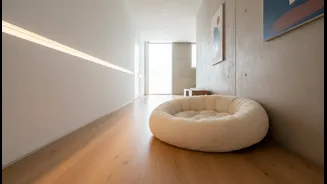 A Pet Bed Should Not Block The Main Walking Route