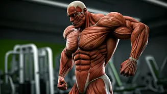 Hrithik Roshan's Shirtless Evolution: From 1984 to 2026!