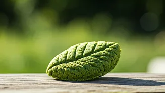 Gen Z Is Eating Protein With A Conscience