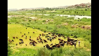 Karnataka Declares Gadag Taluk Drought-Hit Amid Political Pressure