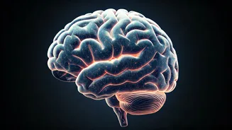 Tai Chi Can Improve Your Brain Function