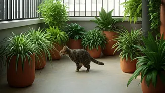 Pet Safe Greenery Solutions For Contemporary Indian Balcony Makeovers