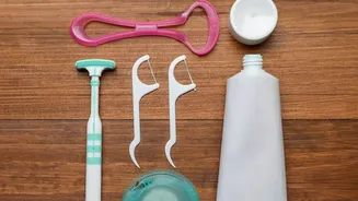 Why Pet Oral Health Concerns Extend Beyond Bad Breath To Include Serious Organ Damage