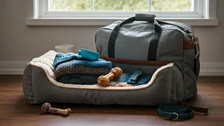Fur Babies Need Vacation Planning Too, Apparently