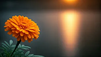 Banaras: Where Life and Death Dance on the Ganges' Edge