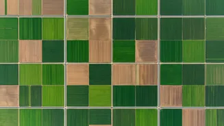 How satellites track crop health