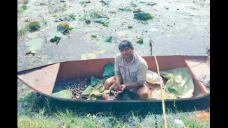 Why Farmers Cover Their Bodies In Burnt Motor Oil Before Harvesting This Winter Crop