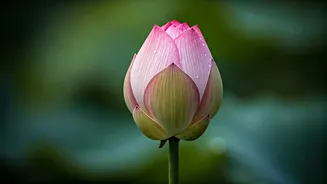 Unlocking Inner Peace: 5 Profound Benefits of Chanting Om Namah Shivaya