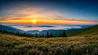 Swap Busy Streets For Peaceful Mountain Mornings