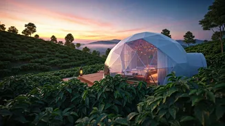 These Chikmagalur Geodesic Glamping Domes Look Purely Magical For Couples