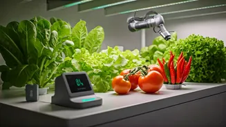 Home Gardening Gets A Cleaner Techy Upgrade
