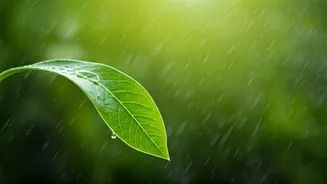 Avoid Costly Food Mistakes This Monsoon