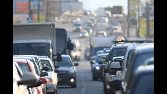Kolkata's Park Street All Lit Up For Christmas | Check Traffic Curbs, Diversions
