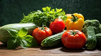 Grow More With Less Gardening Experience