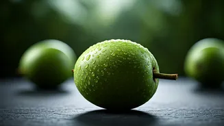 Unlock Radiant Skin: Harnessing Kakadu Plum's Anti-Aging Power for Indian Complexions