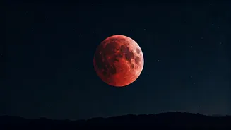 Related Stories banner