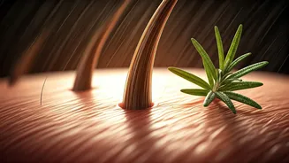 Revive Your Hair: The Science of Microneedling & Rosemary Oil for Natural Regrowth
