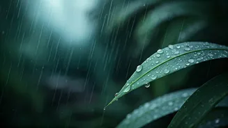 Devshayani Ekadashi Makes Monsoon Routines More Spiritual