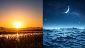 Morning Vs Night: Which Routine Really Matters More?