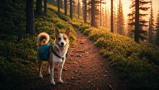 Nature Hikes With Pets Are Perfect Weekend Content