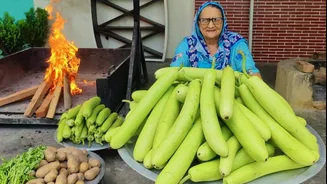Fennel + bottle gourd: 5 recipes you'll love