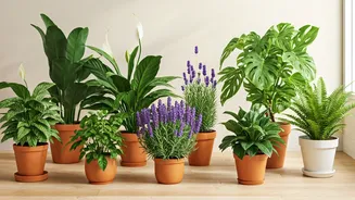 Related Stories banner