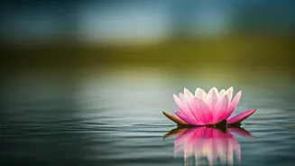 Unlocking Happiness: Thich Nhat Hanh's Wisdom on Letting Go for True Freedom