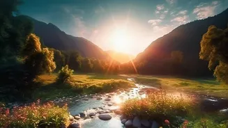 How Early Sunlight Exposure Boosts Daytime Energy And Promotes Better Sleep At Night
