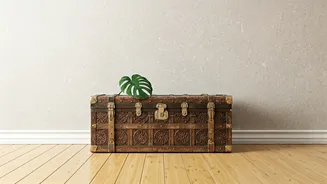 Upcycled Vintage Furniture Trunks Dominate Modern Indian Aesthetic Design Reels