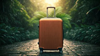Budget Travel Spikes Due To Monsoon Offers