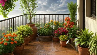 Balcony Gardens Are Going Festive Before Monsoon