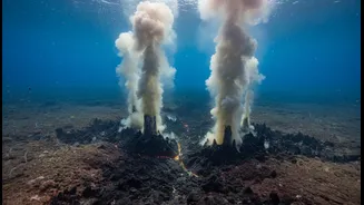 The event provided rare direct measurements of crust being created: why Indian Ocean Seafloor Spreading matters