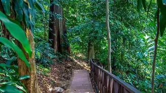 Checking Low-Impact Etiquette Can Improve South Andaman Birding Planning after South Andaman's Rainforest Birding Trail