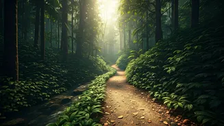 Escape Crowds: Head To Wayanad Valleys For Off-Grid Trekking