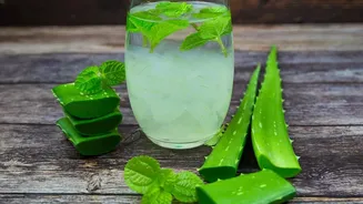 How To Stay Energised Daily With Easy Mint, Jeera, And Natural Fruit Hydration Drinks
