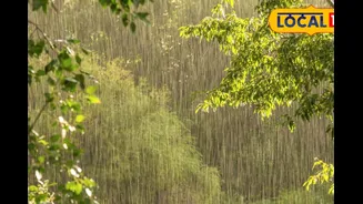 Bengaluru 4-Day Rain Alert: Pre-Monsoon Showers, Thunderstorms Likely Till May 1