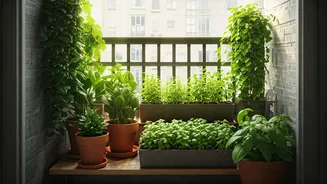 Renters Are Turning Tiny Balconies Into Green Zones