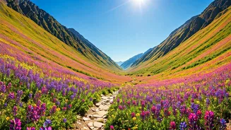 Valley Of Flowers Opening Confirms High Altitude Adventure Peak