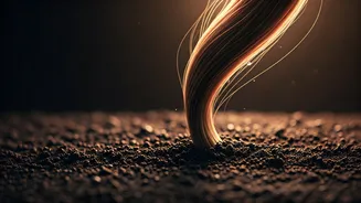 Your Hair Roots Face A Monsoon Challenge