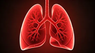 Avoid These 7 Foods For Healthy Lungs