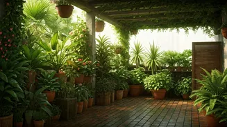 Terrace Gardens Are India's Easiest Monsoon Win
