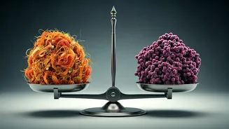 The Protein-Fibre Paradox: Surgeon Reveals Gut Health Risks of Imbalance