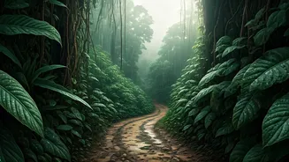 Rain, Mud And Adventure Await You